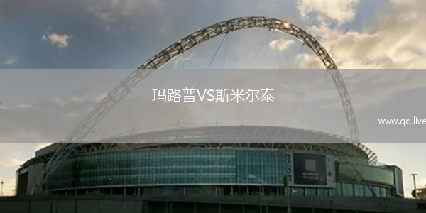 玛路普VS斯米尔泰