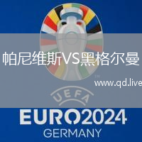 帕尼维斯VS黑格尔曼