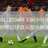 2026年7月30日2034杯玉树小牦牛足球俱乐部vs上海侬堂哩足球俱乐部全场录像回放
