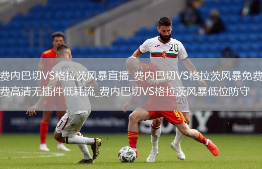 费内巴切VS格拉茨风暴直播_费内巴切VS格拉茨风暴免费高清无插件低耗流_费内巴切VS格拉茨风暴低位防守