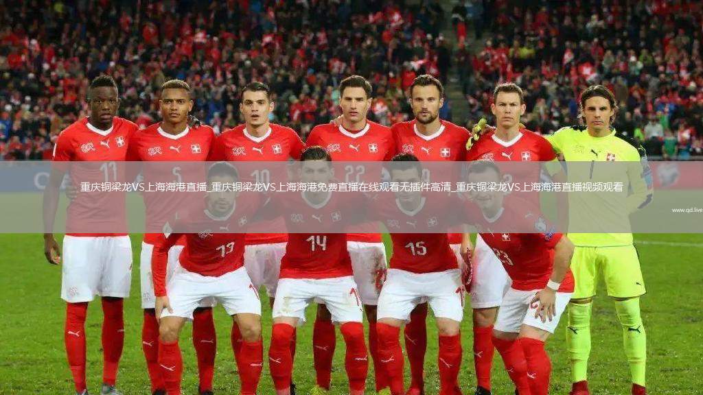 重庆铜梁龙VS上海海港直播_重庆铜梁龙VS上海海港免费直播在线观看无插件高清_重庆铜梁龙VS上海海港直播视频观看