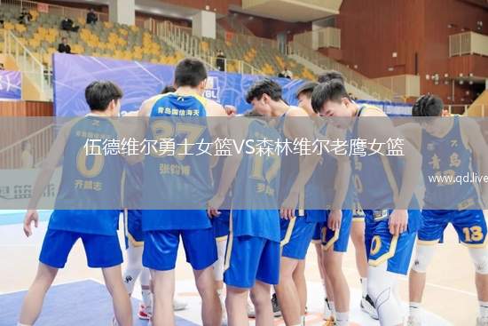 伍德维尔勇士女篮VS森林维尔老鹰女篮