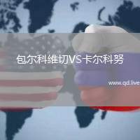 包尔科维切VS卡尔科努
