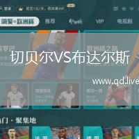 切贝尔VS布达尔斯