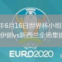2026年6月16日世界杯小组赛G组第1轮伊朗vs新西兰全场集锦