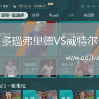 多瑙弗里德VS威特尔