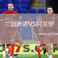 兰迪德诺VS阿芙罗