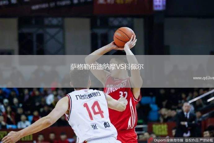 萨格勒布迪纳摩VS科佩尔