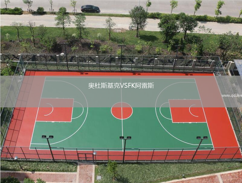 奥杜斯基克VSFK阿雷斯