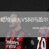 哈维德夫VS阿玛盖尔