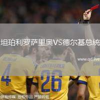 坦珀利罗萨里奥VS德尔基总统