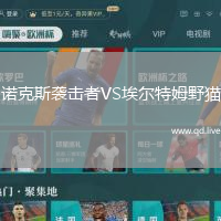 诺克斯袭击者VS埃尔特姆野猫
