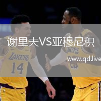 谢里夫VS亚穆尼积