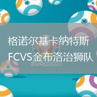 格诺尔基卡纳特斯FCVS金布洛治狮队