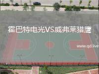 霍巴特电光VS威弗莱猎鹰