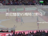 悉尼彗星VS梅特兰野马