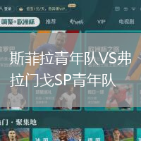斯菲拉青年队VS弗拉门戈SP青年队