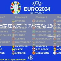 石家庄功夫U20VS青岛红狮U20