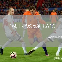 羊绒工业VS瓦纳卡AFC