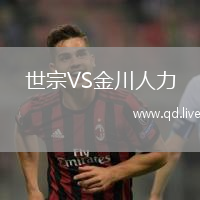世宗VS金川人力