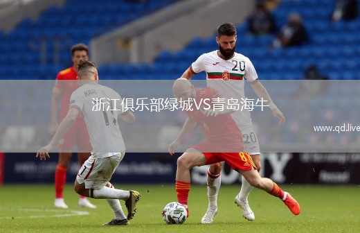 浙江俱乐部绿城VS青岛海牛