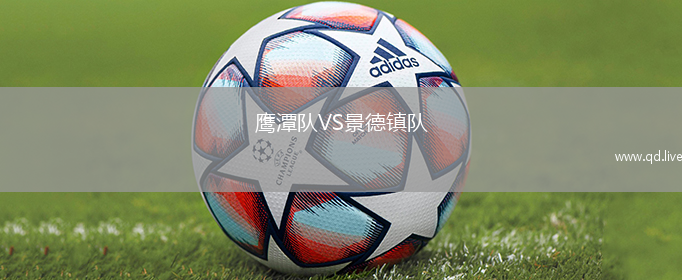 鹰潭队VS景德镇队