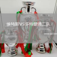 维特斯VS多特蒙德二队