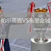 帕尔蒂克VS布里金城