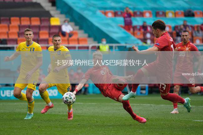 卡罗莱纳州巨人VS巴阿蒙牧牛人