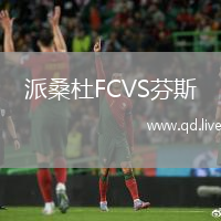 派桑杜FCVS芬斯
