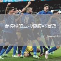 蒙得维的亚利物浦VS塞路