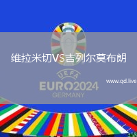 维拉米切VS吉列尔莫布朗