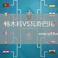 特木科VS瓦奇巴托