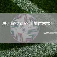 费古埃伦斯VS沃尔特雷东达