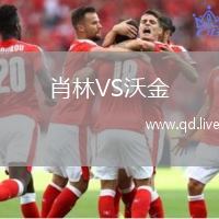 肖林VS沃金