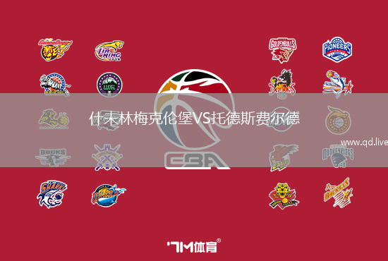 什未林梅克伦堡VS托德斯费尔德