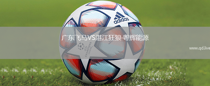 广东飞马VS湛江狂狼·粵辉能源