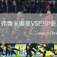 弗鲁米嫩塞VS巴伊亚
