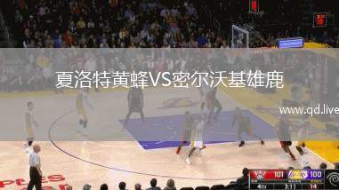 夏洛特黄蜂VS密尔沃基雄鹿