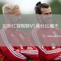珀斯红背蜘蛛VS曼杜拉魔术
