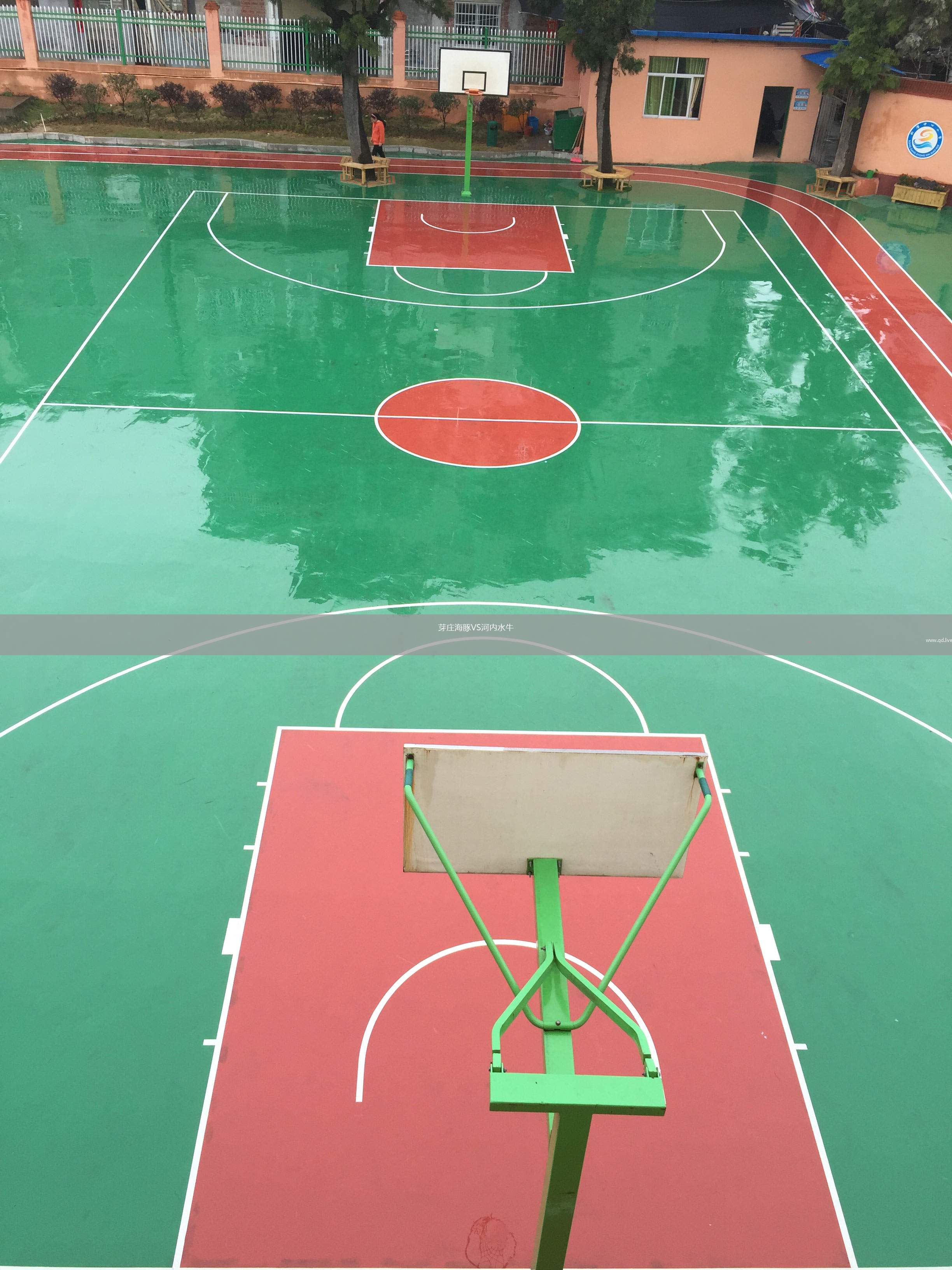 芽庄海豚VS河内水牛