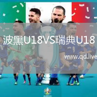 波黑U18VS瑞典U18