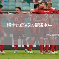 梅卡瓦延VS民都洛水牛