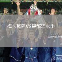 梅卡瓦延VS民都洛水牛