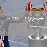 尼尔逊巨人VS怀伊
