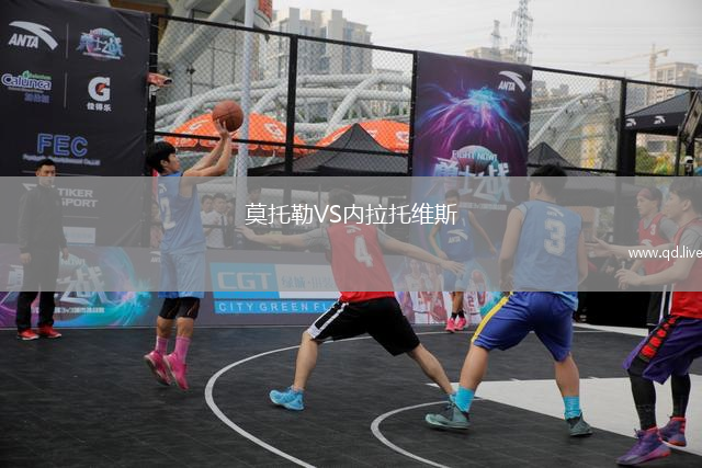 莫托勒VS内拉托维斯