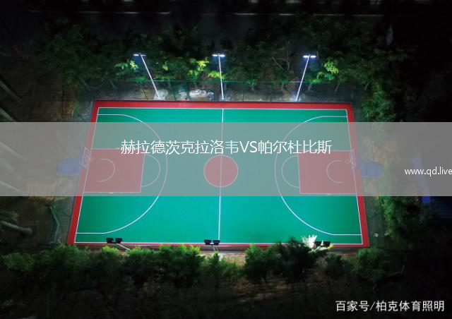 赫拉德茨克拉洛韦VS帕尔杜比斯