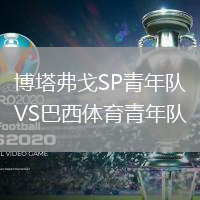 博塔弗戈SP青年队VS巴西体育青年队