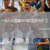 HNK戈里察VS顿涅茨克矿工