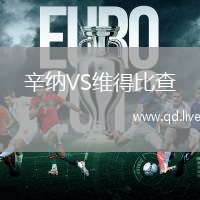 辛纳VS维得比查